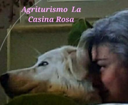 Agriturismo La Casina Rosa كاميغلياتيلو سيلانو المظهر الخارجي الصورة