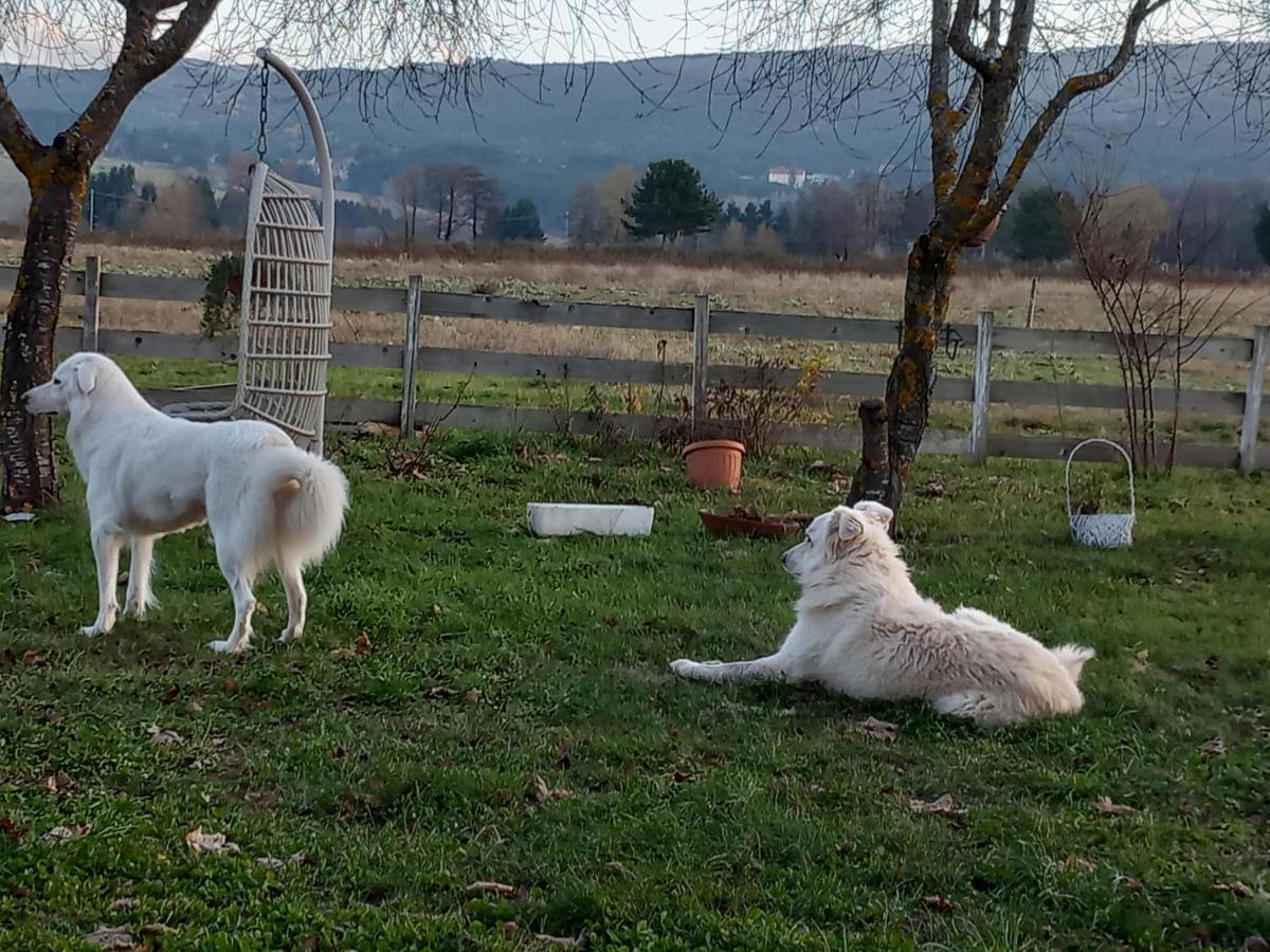 Agriturismo La Casina Rosa كاميغلياتيلو سيلانو المظهر الخارجي الصورة